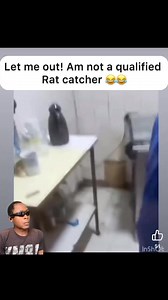 5.8K views · 57 reactions | Huyu Ametomboa unga, mchele na aka’ terrorize paka #reaction #catlover #funnymoments | Real Simon’s | Facebook