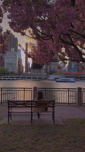 An Evening to Remember in New York City