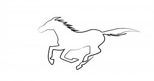 Running Horse 4k Hd Gif Animation Stock Footage Video (100% Royalty-free) 1053166322 | Shutterstock