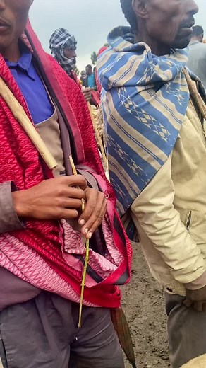 stay positive on TikTok