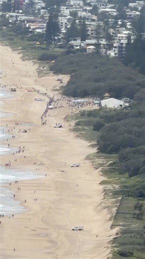 The Star Gold Coast Magic Millions Barrier Draw and horse run. 🐎🐎 13-01-2026 📍 Kurrawa Beach, Broadbeach (in front of the Kurrawa Surf Club). | Vanissa Livara