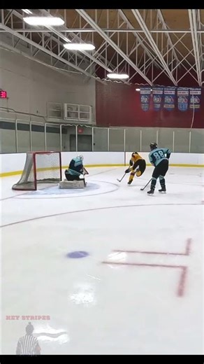 2D in the corner - Hey Stripes! The Micd Up GoPro Hockey Refcam