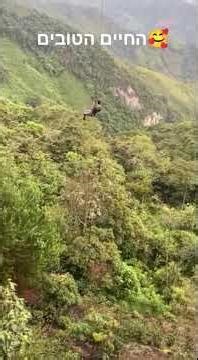 תומר בדרום אמריקה