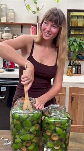 Easy Fermented Feijoa Fizz Recipe