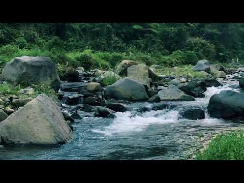 Meditative Freshwater Stream with Refreshing Flow for Peace of Mind, Meditation & Wellness