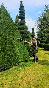 Yew topiary trimming and the beautiful Cressy hall . . . . . . . . . #reels #garden #topiary #plants #satisfying #gardening #spring #nature #naturelovers #green | The Hedge Barber