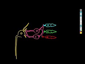 Chapter 13 part 3: neuronal circuitry and reflexes