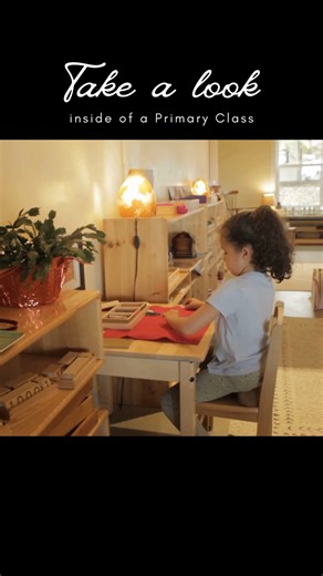 Please take a moment to observe as one of our Primary students works with the “Snake Game.” This is a Math material in our Primary Montessori environment that demonstrates the process of addition. This material shows children that we can add small numbers to create 10s. The colored beads seen in the video contain 1 unit to 9 units. When the children add them together, they will count all the way up to 10 and swap the colored beads for a gold bar, which is equivalent to 10. #mountainsidemontessor