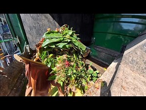 Waste Management manual side loader organics garbage truck