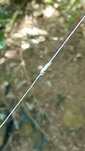 10K views · 82 reactions | Powerfull fishing Knot for Braid to Mono #fishing #fishingknot #braid #mono #tutorial #tips | Indra Jaya Giri | Facebook