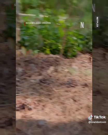 Zoinks Scoob! 🐕😱 Netflix just unveiled the first teaser of their new series Scooby-Doo: Origins featuring Scooby-Doo as an actual dog for the first time. According to the release, the series will follow Shaggy Rogers (Tanner Hagen), Daphne Black (Mckenna Grace), and their friends at their final summer at camp, showcasing the case