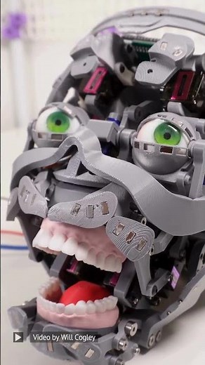 An animatronic head by Will Cogley