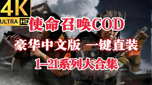 【使命召唤COD】（1-21合集）豪华中文版全系列大合集 打包修改器 存档！解压即玩！已测试完美运行！