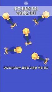 지구 최강의 킬러 박테리오 파지 #은잡지 #shorts