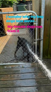 9.8K views · 236 reactions | Candy Red LLC on Reels | Facebook