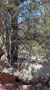 Scoot Boot | Scout's Trail | Facebook