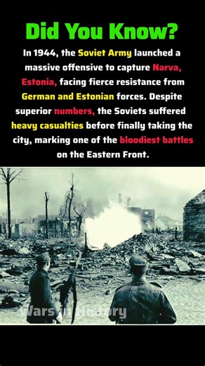 The Battle That Devastated Estonia | Narva 1944 #ww2