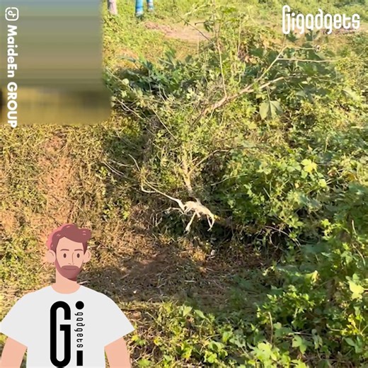 254K views · 957 reactions | Watch as these lawnmowers handle uneven...