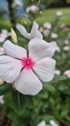 Teruntuk diriku : Ingatlah, sebaik apapun dirimu akan tetap terlihat jelek bagi pembencimu. Kamu tak perlu mengubah apapun dari dirimu. Karena kamu bukan dilahirkan untuk menyenangkan hati semua orang. Tapi Tetaplah berbuat baik 🫰🫰❤️ | Dela Toamain