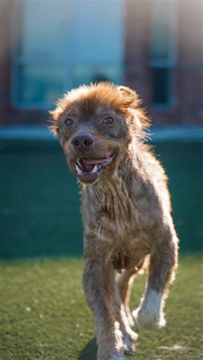 10K reactions · 321 comments | Louis Revenge Tour Loading…. Let’s...