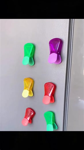 Essential Daily Items for a Creative Life