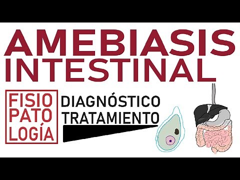 Amebiasis intestinal - Fisiopatología, diagnóstico y tratamiento