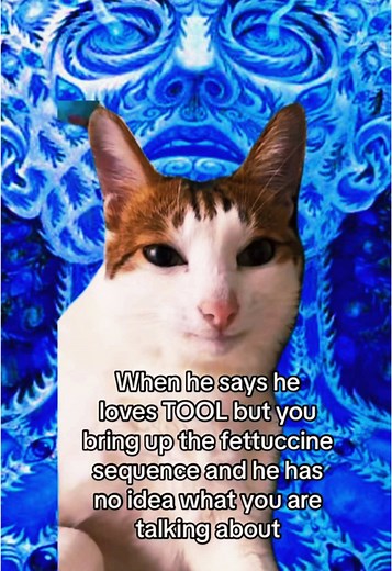 Exploring Tool Band's Music and Fibonacci Sequence