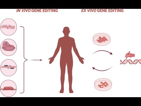in vivo approach gene therapy; delivering genetic material directly into a patient's body