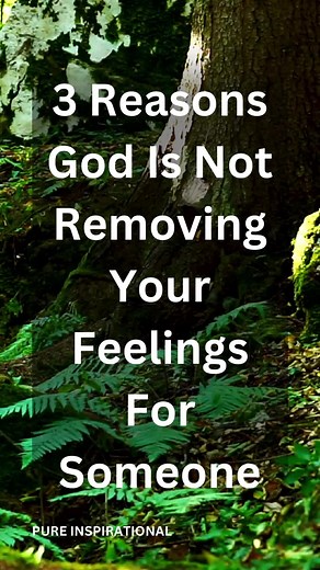 3 Reasons God Is Not Removing Your Feelings For Someone. Subscribe For More Inspirational Messages to Pure Inspirational #reasons #Desire #pureinspirational #pure #inspirational #motivation #inspiration #foryou #foryourpage #fypage #foryoupage #signs #love #God #blessed #pureinspiration #motivational