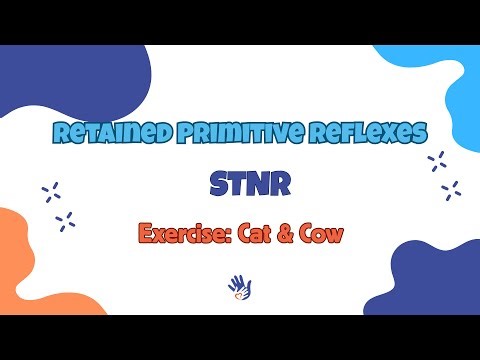 STNR Reflex Integration | Improve Posture & Focus with Cat & Cow
