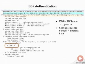 BGP Authentication