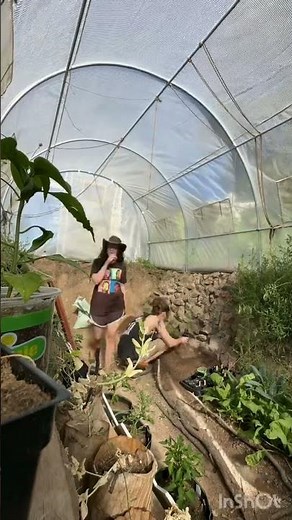 Underground Greenhouse: A Subterranean Secret for Perfect Tomatoes