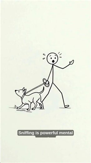 Why Your Dog Needs to Sniff (It’s Not What You Think)