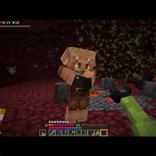 NETHER MONSTERS
