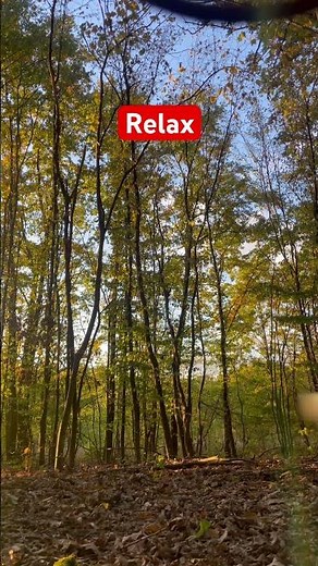 Tibetan Tingsha Bells, Cymbals, Chimes. Meditation sound. #meditation #meditationsounds