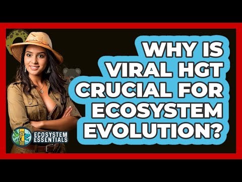 Why Is Viral HGT Crucial For Ecosystem Evolution? - Ecosystem Essentials