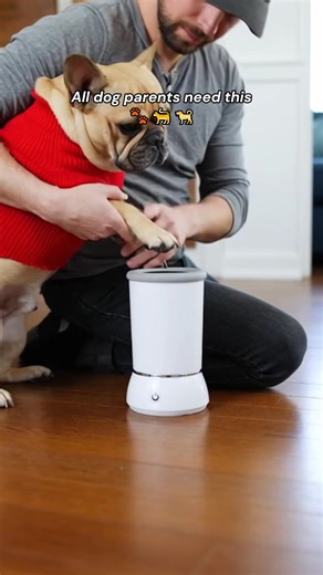 Effortless Pet Paw Cleaning for Dogs