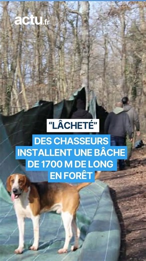 Pour piéger les animaux, des chasseurs installent une bâche sur près de 2 km en forêt #chasse #chasseàcourre #animaux #forêt | actu.fr