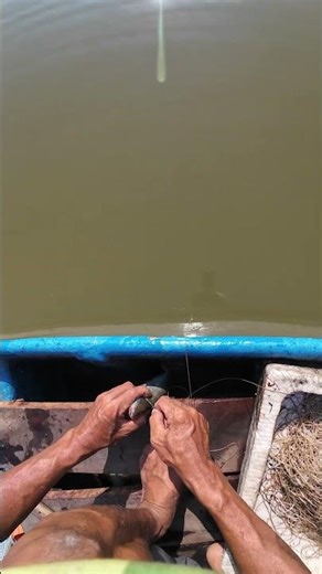 HY HỮU !!! Sông nước bao la, cá ơi sao thoát được ta kakaka #fishing #mientay #vamcotayvlog