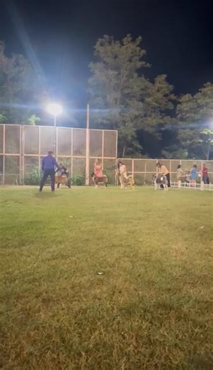 221 reactions · 7 comments | Beautiful ladies奈奈 GreatRoyal Onix Hendler Marta Kostić Breeder Tamila Minngulova Owner Zorica Markovic | Mario Markovic Uragan Akita | Facebook