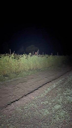 What appeared in the field at midnight | #viralreelsfb #mystery | Devil's night with dharmendra