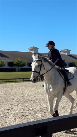 Ella and Peanut | Oh Glitter ✨ we love you 💕 This mare is so special . She smiles on demand , gives fist bumps and jumps like a superstar ⭐ she is amazing to... | Instagram
