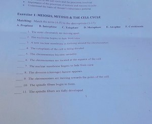 the cell cycle and the processes involvedUnderstand of the pro... | Filo