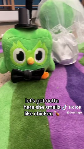 Hooty x Duolingo: The Saga Continues 2/14