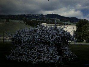 Home Movie: 97166: Vacation 1963, Yellowstone : Free Download, Borrow, and Streaming : Internet Archive