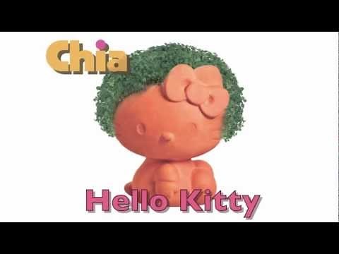 Hello Kitty Chia Pet