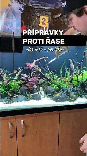 5 pomocníků v boji proti řase