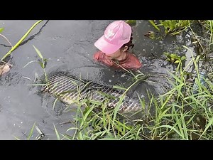 Trapping the world's largest dragon fish 75kg with geoduck