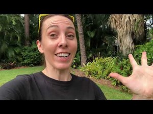 Starting a small backyard fruit orchard!