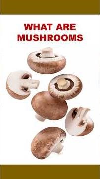 WHAT ARE MUSHROOMS?
